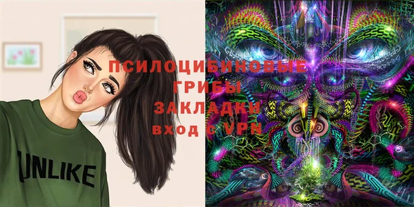 стафф Алексеевка