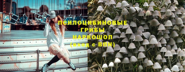 Альфа ПВП Алексин