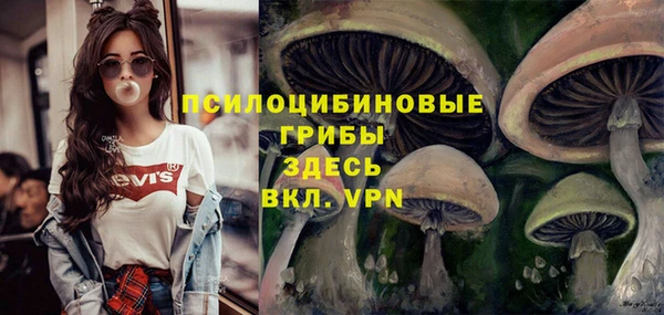 ПСИЛОЦИБИНОВЫЕ ГРИБЫ Алзамай