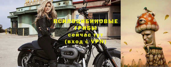 Альфа ПВП Алексин