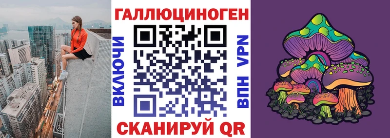 Галлюциногенные грибы Psilocybe  Качканар 